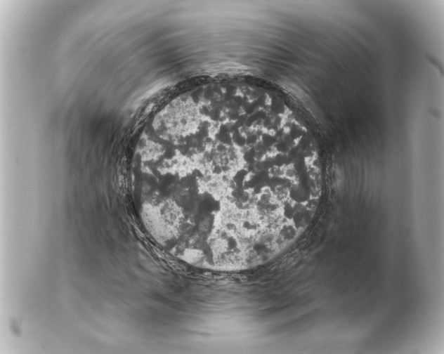 X0000101451063200808041013