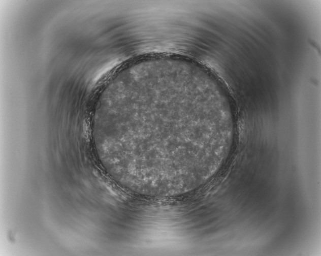 X0000101451064200808041013