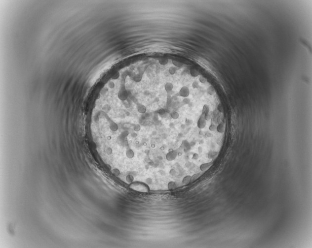 X0000101451067200808041013