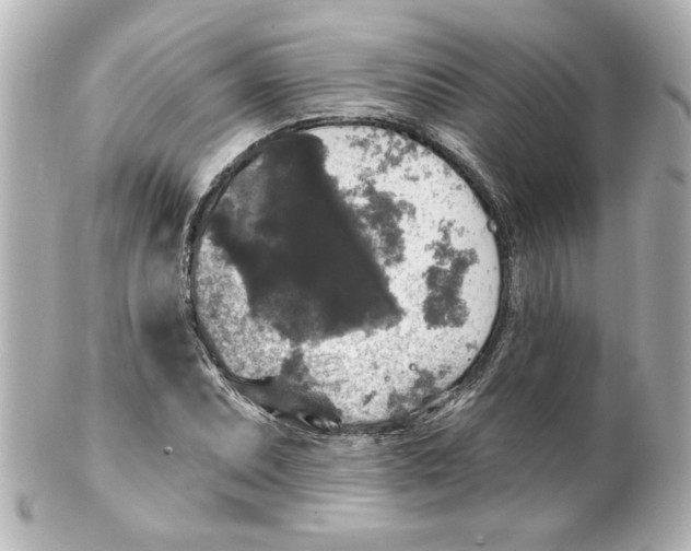 X0000101451071200808041013