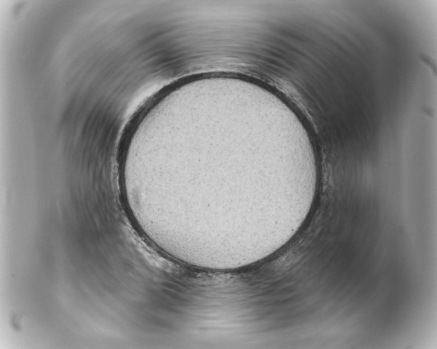 X0000101451072200808041013