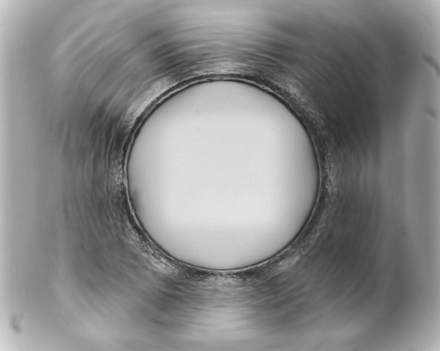 X0000101451073200808041013