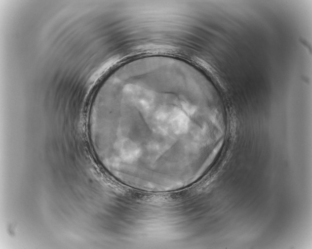 X0000101451074200808041013