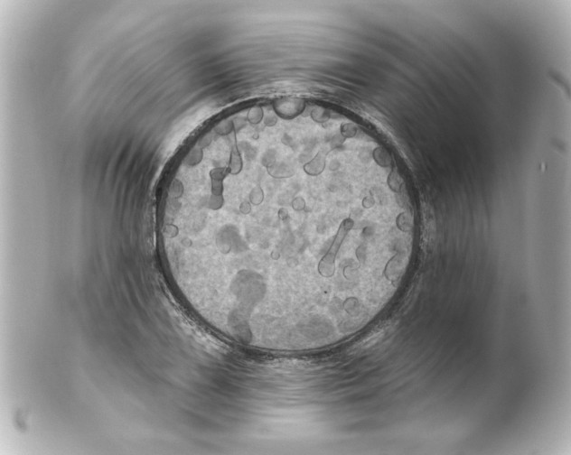 X0000101451075200808041013