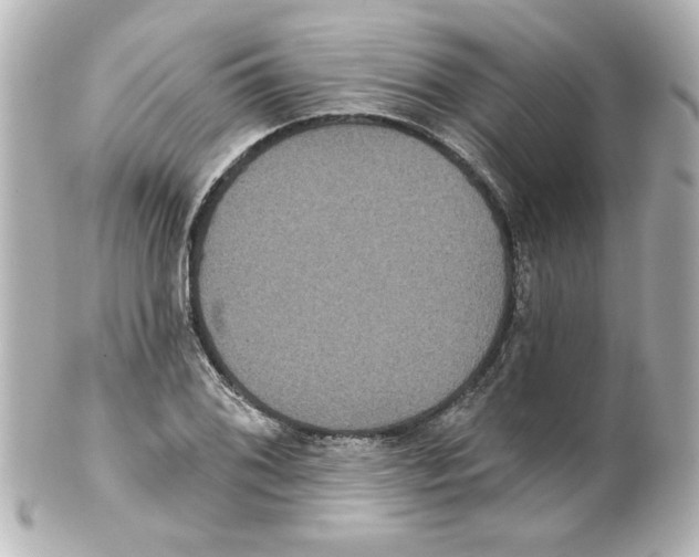 X0000101451076200808041013