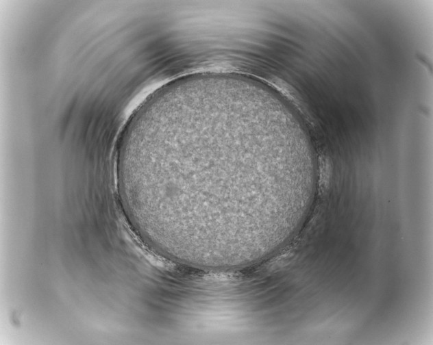 X0000101451078200808041013