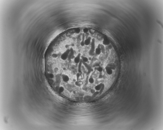 X0000101451079200808041013