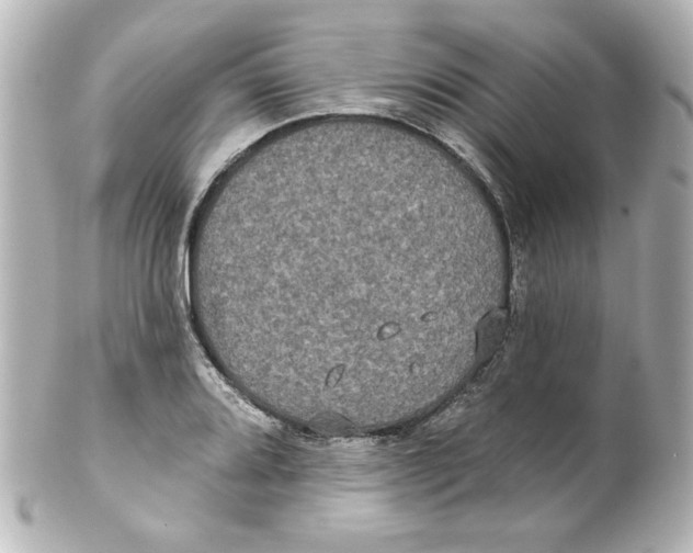 X0000101451080200808041013