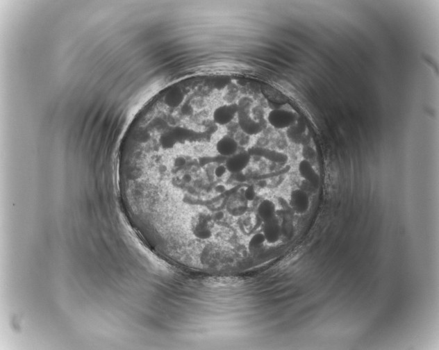 X0000101451083200808041013