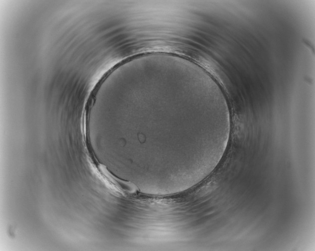 X0000101451084200808041013