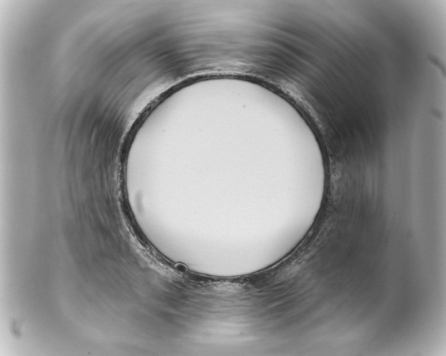 X0000101451085200808041013