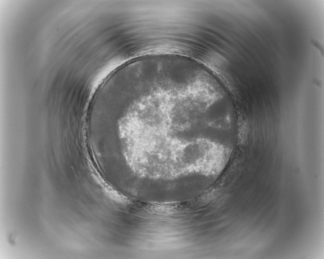 X0000101451086200808041013