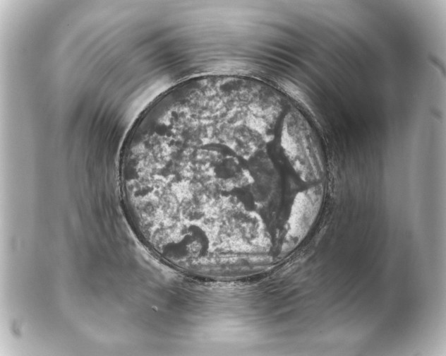 X0000101451087200808041013