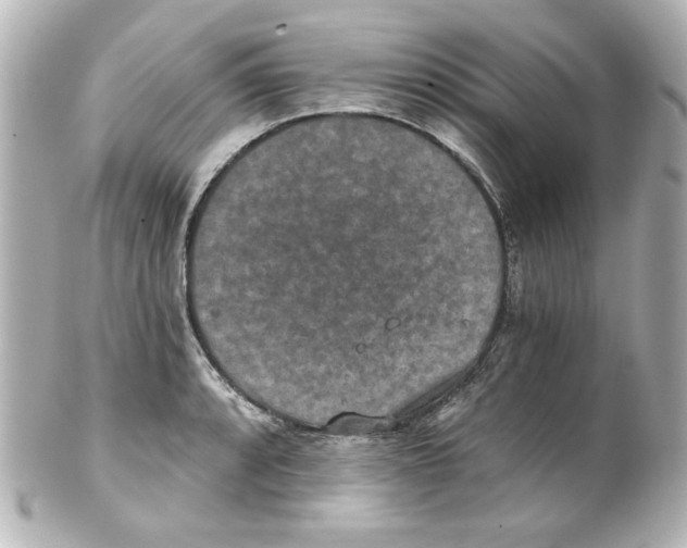 X0000101451088200808041013