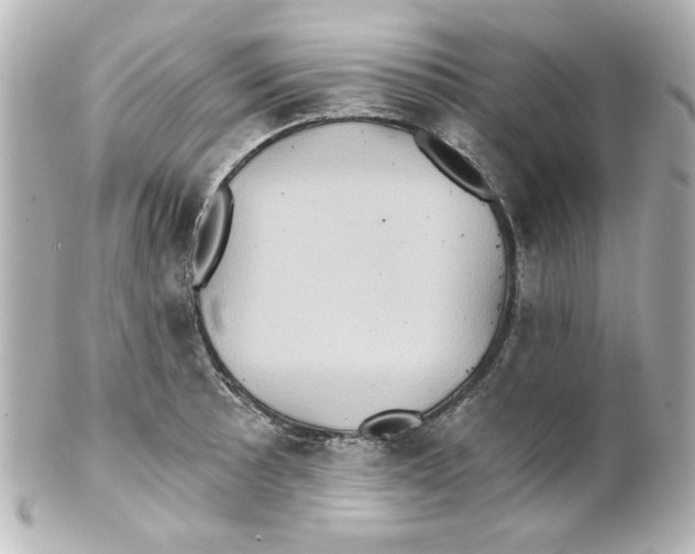 X0000101451089200808041013