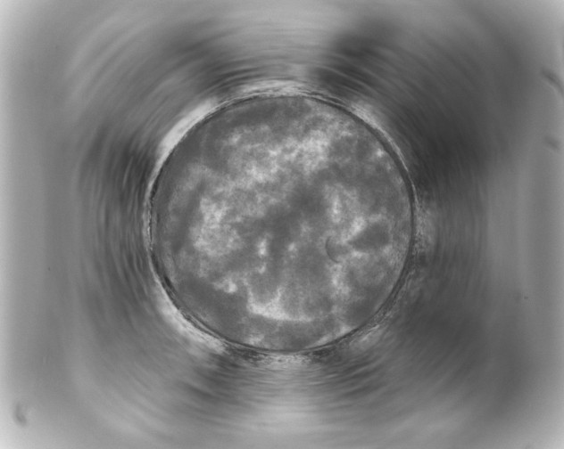 X0000101451090200808041013