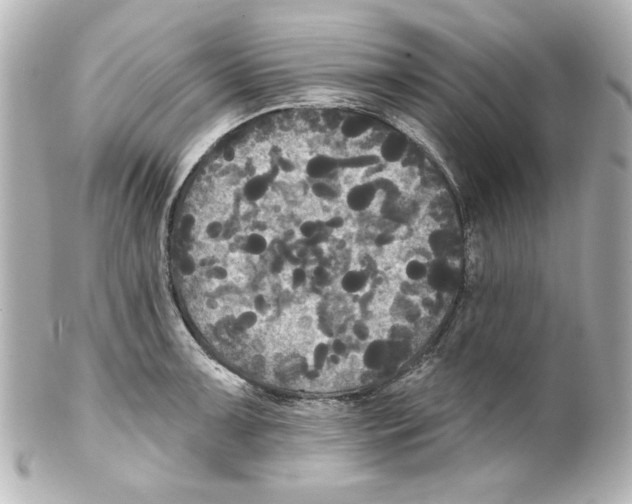 X0000101451091200808041013