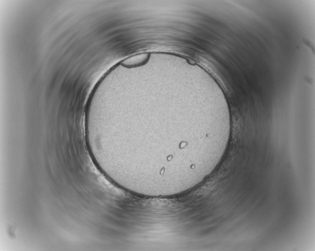 X0000101451092200808041013