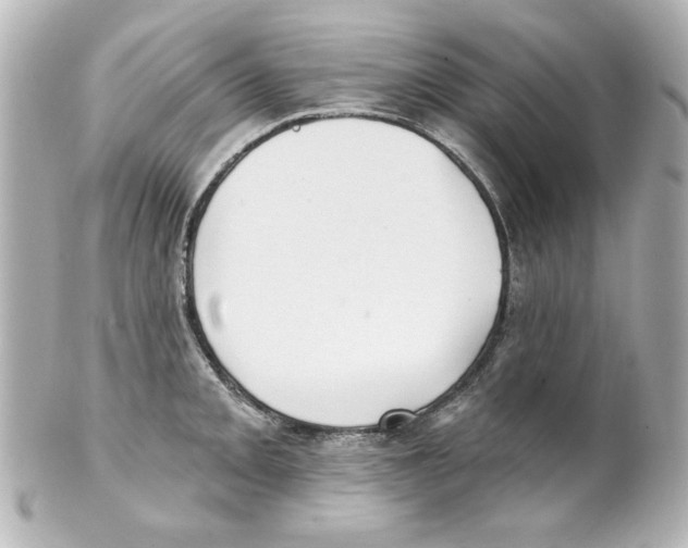 X0000101451093200808041013