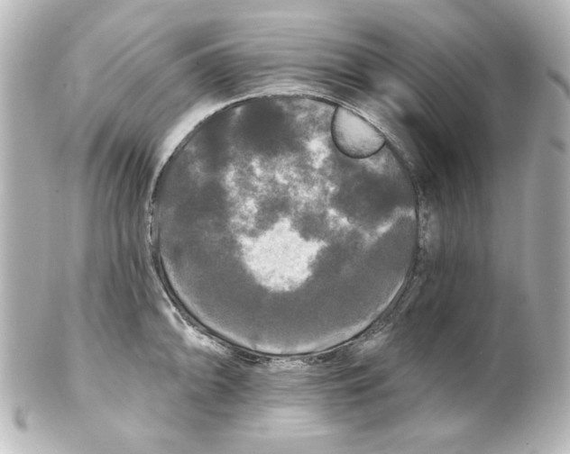 X0000101451094200808041013