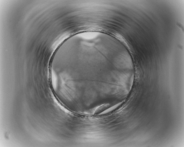 X0000101451095200808041013