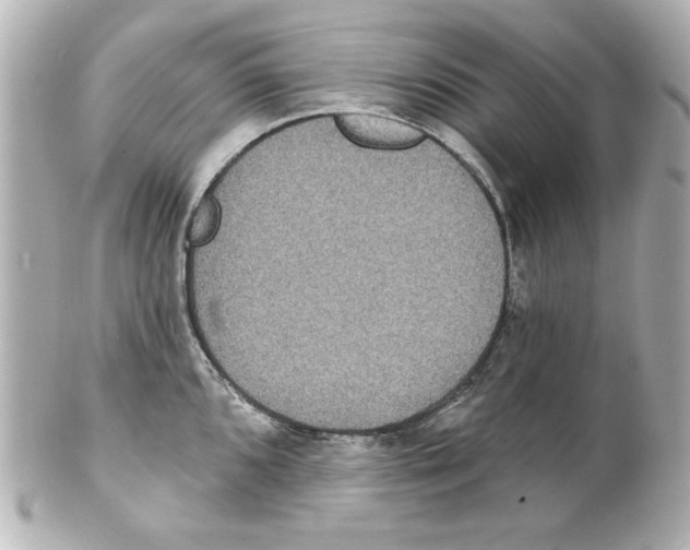 X0000101451096200808041013