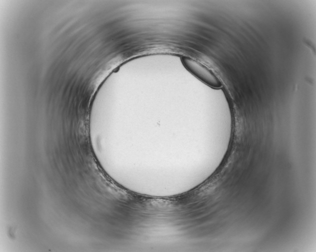 X0000101451097200808041013