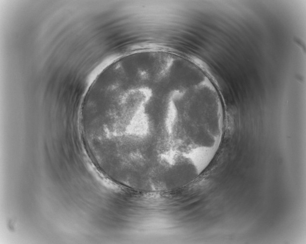 X0000101451098200808041013