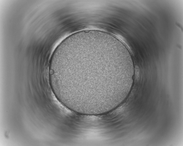 X0000101451100200808041013