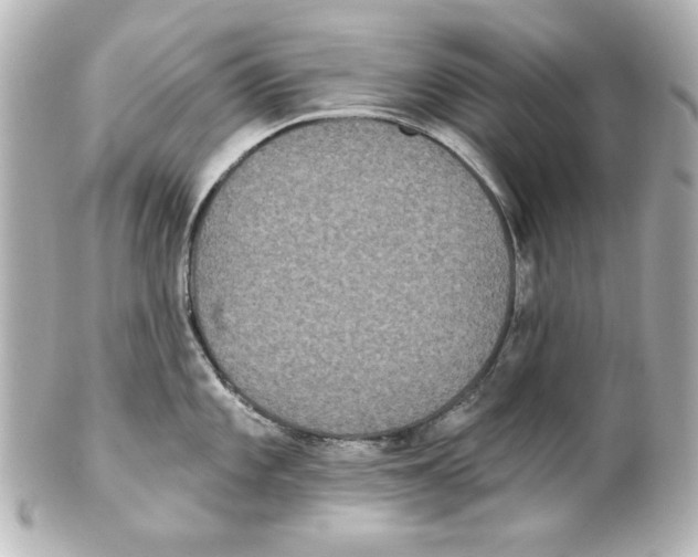 X0000101451101200808041013