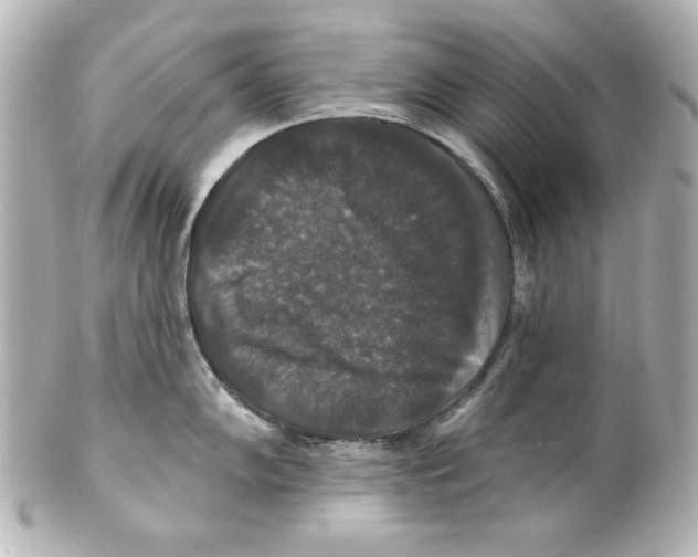 X0000101451102200808041013