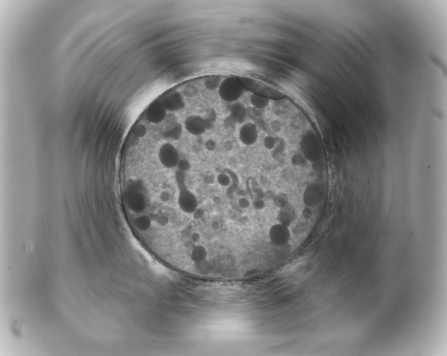 X0000101451103200808041013