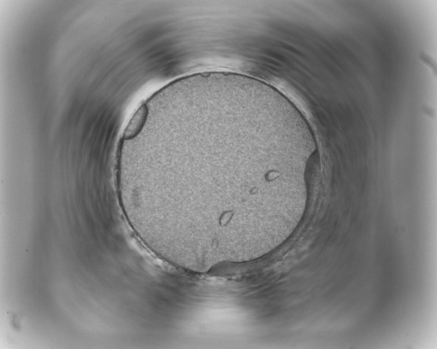 X0000101451104200808041013