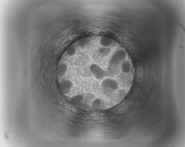 X0000101451105200808041012