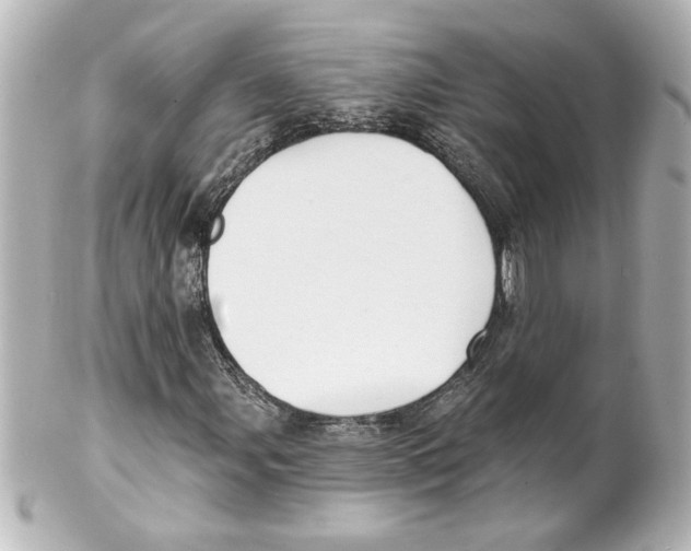 X0000101451107200808041012