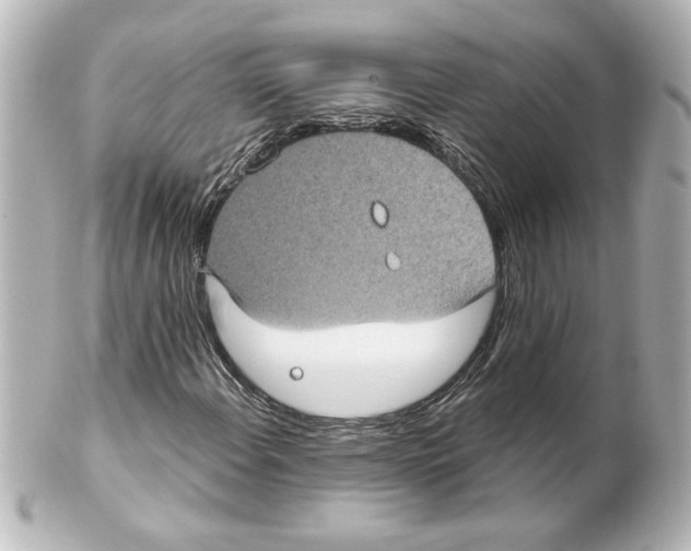 X0000101451108200808041012