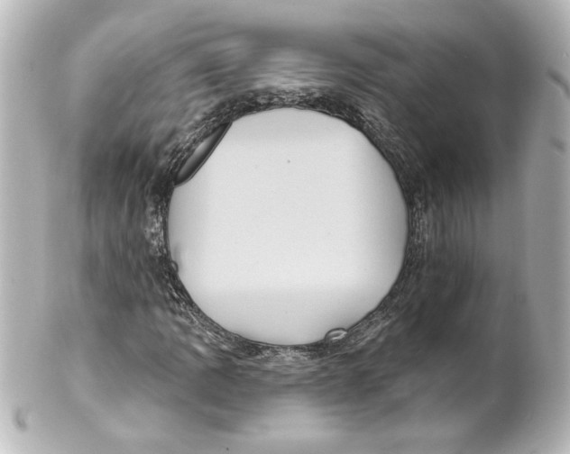 X0000101451109200808041012