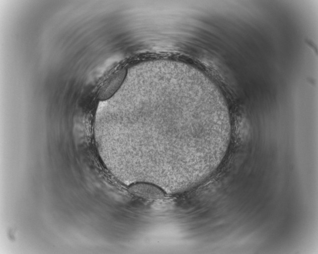 X0000101451110200808041012