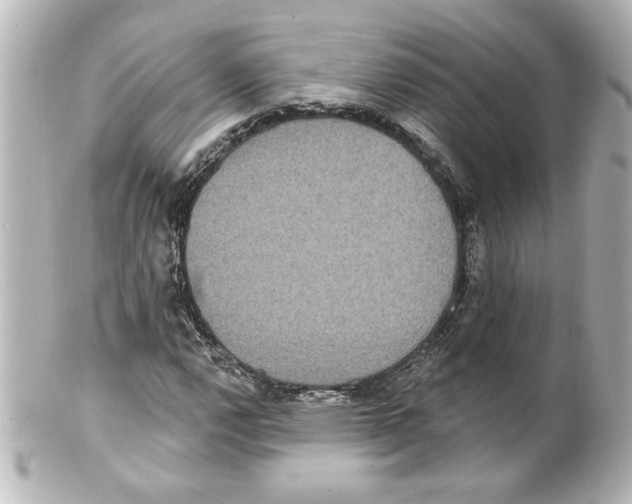 X0000101451112200808041012