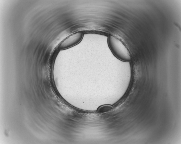 X0000101451114200808041012