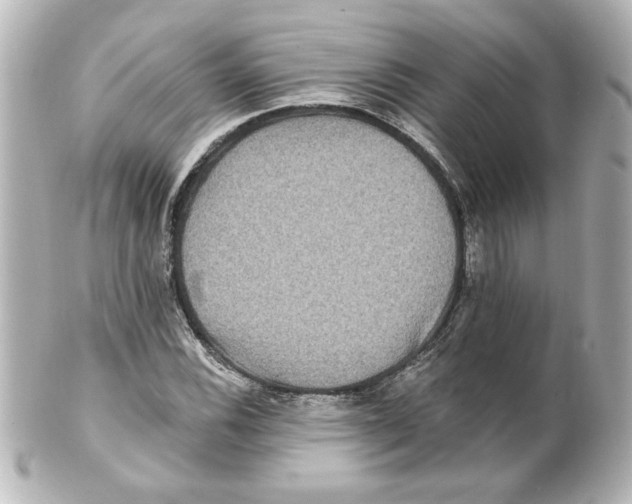 X0000101451116200808041012