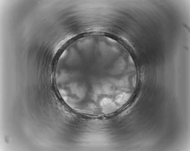 X0000101451117200808041012