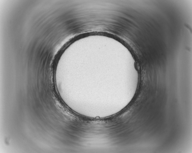 X0000101451118200808041012