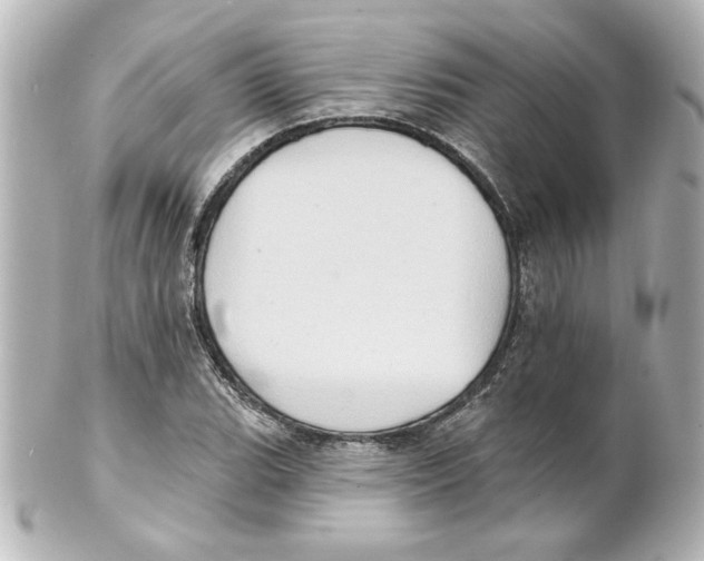 X0000101451119200808041012