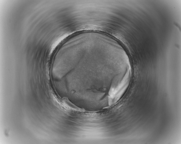 X0000101451120200808041012