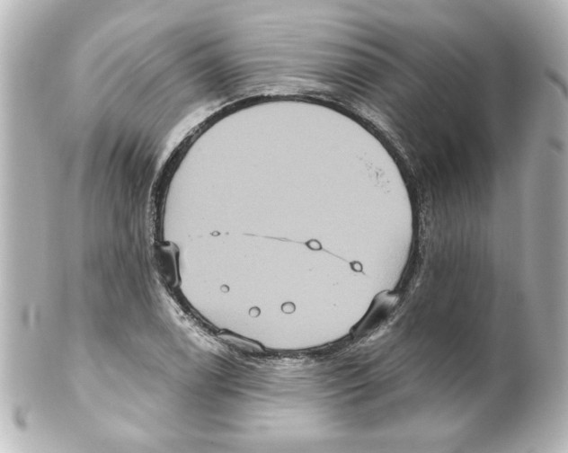 X0000101451122200808041012