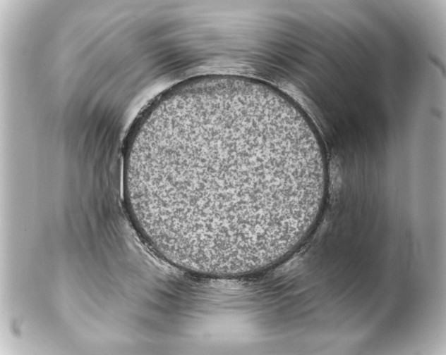 X0000101451123200808041012