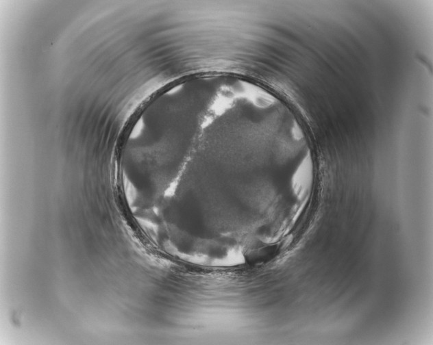 X0000101451125200808041012