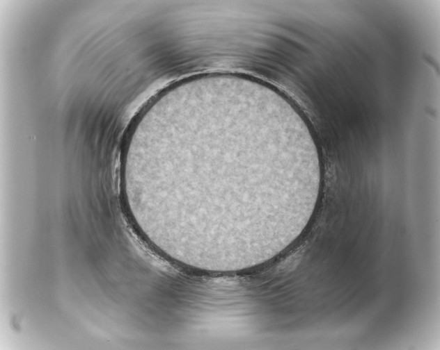 X0000101451126200808041012