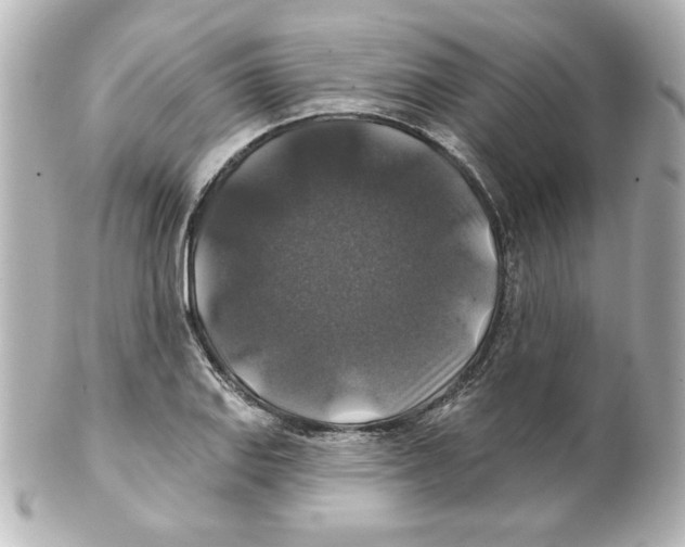 X0000101451127200808041012